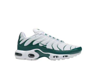 Air Max TN Blanc et Vert Menthe